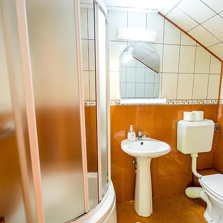 Pensiunea Iozefina Guest house 3*