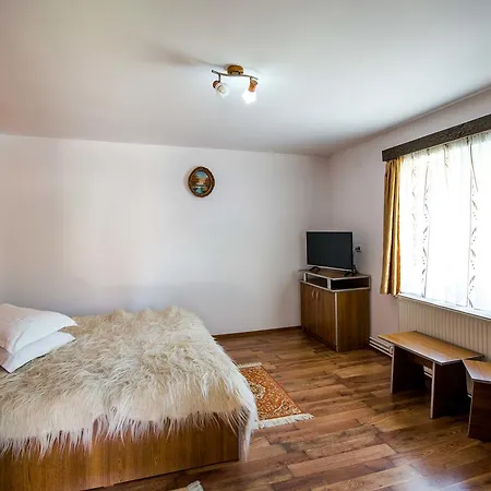 Pensiunea Iozefina Guest house